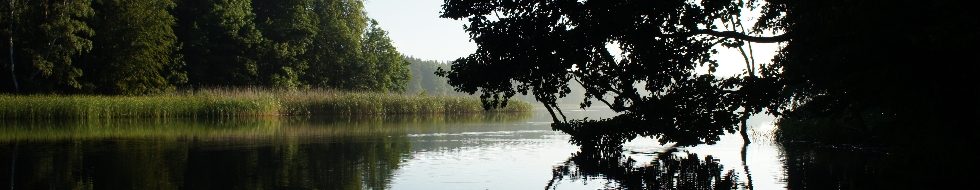 bildleiste_wasser