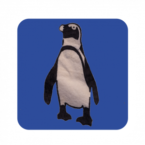 Brillenpinguine