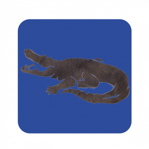 Krokodile